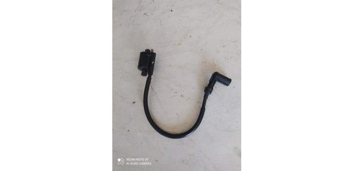 bobine peugeot xp6 sm 2010