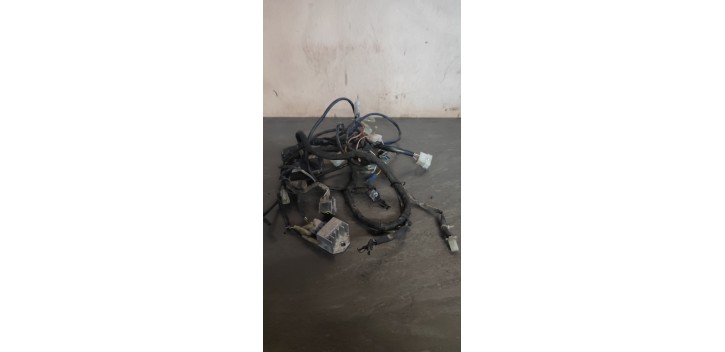 Faisceaux électrique beta rr sm 2014