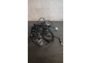 Faisceaux électrique beta rr sm 2014