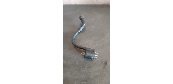 Bobine haute tension Rieju MRT 125 cc 2020