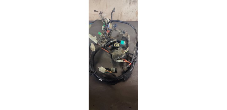 Faisceaux électrique Archive motorcycle 2018