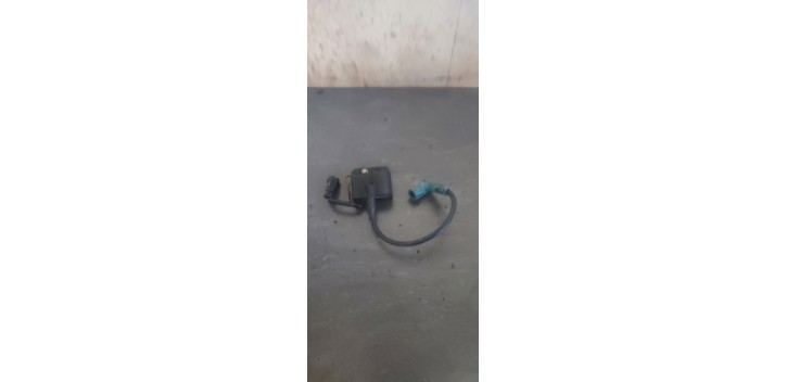 CDI Beta rr sm 2010