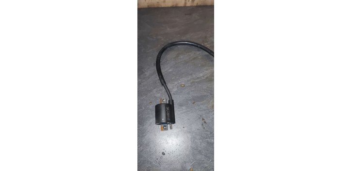 CDI Fantic sm 2021