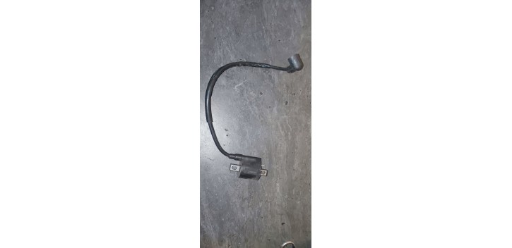 Bobine haute tension Rieju MRT 2013