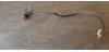 Bouton compteur Peugeot xp6 2017
