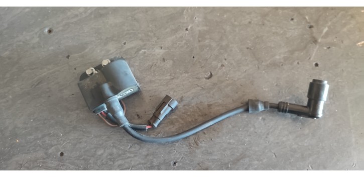 CDI beta rr sm 2010