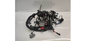 Faisceaux électrique KTM Duke 125cc 2018