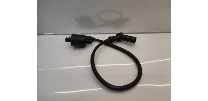 Bobine haute tension Mash fifty 2021