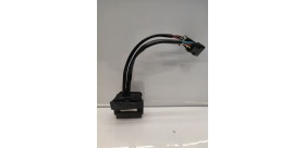 ECU Mash fifty 2021