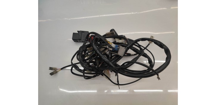 Faisceaux électrique Rieju RS3 2020