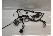 Faisceaux électrique Fantic compétition 2017