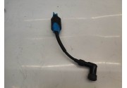 Bobine haute tension Yamaha TZR 2013