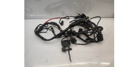 Faisceaux électrique Yamaha TZR 2013