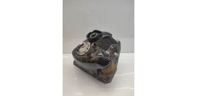 Réservoir d'essence avec pompe Yamaha Tmax 530 2015