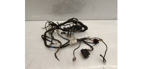 Faisceaux électrique Fantic sm 2023
