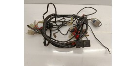 Faisceaux électrique Rieju RS3 naked 2015