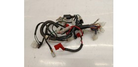 Faisceaux électrique Mash fifty année 2017