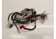 Faisceaux électrique Mash fifty année 2017