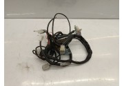 Faisceaux électrique beta track sm 2015