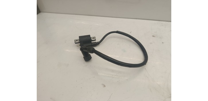 Bobine haute tension Beta rr sm 2018