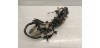 Faisceaux euro 4 Derbi xtreme 2020