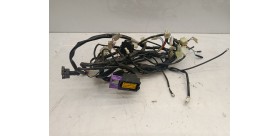 Faisceaux électrique nu Rieju mrt pro 2023