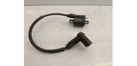 Bobine haute tension Masai furious 2020