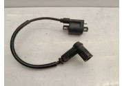 Bobine haute tension Masai furious 2020