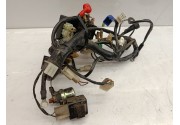 Faisceaux électrique Masai furious 2020
